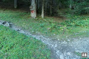 Am Ende der Weidefläche nicht geradeaus (im Bild rechts) in den Wald, sondern links dem roten Pfeil nachlaufen