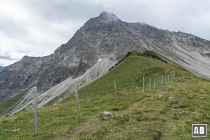 Bergtour Gaishorn: An einem Weidezaun unserem Ziel entgegen