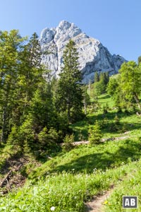Steil windet sich der Bergpfad in zahlreichen Serpentinen empor zum Geiselsteinsattel