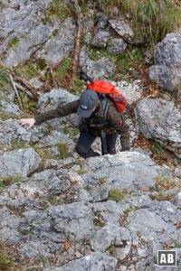 Kleine Felsstufen helfen in der Waldpassage für Abwechslung