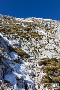 Die steilen Schrofen - bis zum Beginn des Guffert-Gipfelfelsens - noch oben wandern