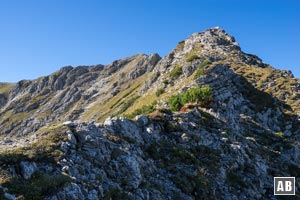 Impressionen aus dem Nordostgrat der Walser Hammerspitze
