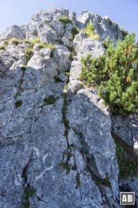 Impressionen aus dem Ostgrat: Eine typische Kletterstelle am Grat
