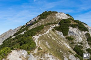 Die Erhebung des Plumsjoch: Nach der Plumsjochhütte eine weitere Station auf dem Weg zur Montscheinspitze