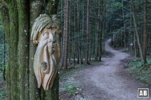 Vom Parkplatz geht es zunächst auf dem Maximilianweg durch einen Märchenwald der mit dekorativen Holzschnitzereien geschmückt ist