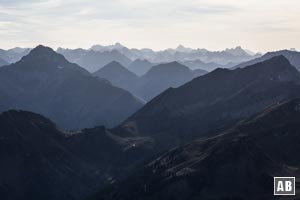 Aussicht vom Thaneller: Die Lechtaler Alpen im Scherenschnitt