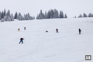 Schneeschuhwanderung Brecherspitz: Eine beliebte Wintertour - auf zwei Brettern, zwei Schlägern oder vier Pfoten