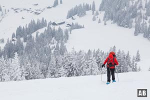 Schneeschuhwanderung Brecherspitz: Impressionen aus dem Gipfelhang