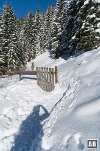 Schneeschuhtour Naunspitze: Durch dieses Gatter geht es in den dichten Wald hinein.