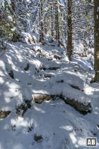 Schneeschuhwanderung Naunspitze: Über steile Serpentinen arbeiten wir uns den Wald empor