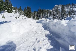 Schneeschuhtour Naunspitze: An der kleinen Lichtung zu den ersten Bäumen nach schräg oben