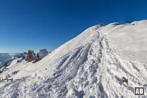 Schneeschuhwanderung Rotwand: Die letzten, besonders steilen Meter zum höchsten Punkt