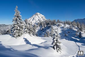 Schneeschuhtour Schildenstein: Aussicht vom Schildensteinsattel auf den Schildenstein