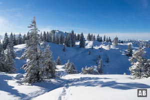 Schneeschuhtour Schildenstein: Rückblick auf den Schildensteinsattel