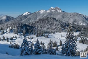 Schneeschuhtour Schildenstein: Rückblick auf die Königsalm. Am Horizont erwächst Roß-/Buchstein.