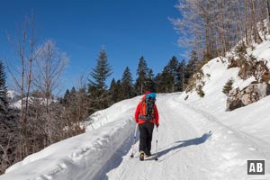 Schneeschuhtour Sonntagshorn: Über die Rodelbahn geht es in gemächlicher Steigung bergwärts