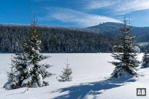 Skitour Großer Arber: Die Skyline des Großen Arbers mit dem Kleinen Arbersee im Vordergrund.