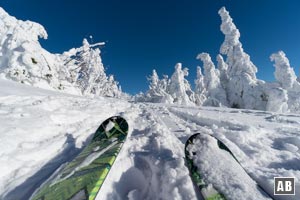 Skitour Großer Arber: Unterwegs am Gipfelplateau zwischen unzähligen Schneemännchen.