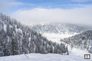 Skitour Wank: Rückblick aus dem Mittelteil der Skipiste auf die Esterbergalm