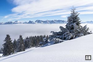 Skitour Wank: Großes Karwendelpanorama am Gipfelrücken