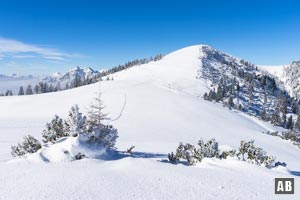 Skitour Wank: Tolles, freies Gelände am Gipfelrücken