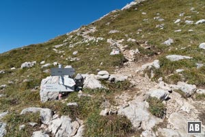 Auf ca. 2.120 m Höhe wird der Hüttenweg linker Hand verlassen und in die Gipfelflanke des Geißhorn eingefädelt