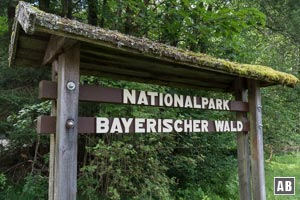 Der Große Falkenstein liegt inmitten des Nationalparks Bayerischer Wald