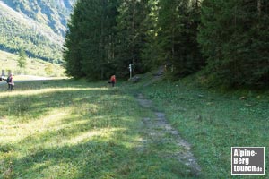 40 m hinter dem Oytal den Spuren zum Waldrand in Richtung Wegweiser folgen