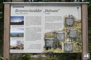 Der heimische Bergmischwald - Infoschild des Naturlehrpfades