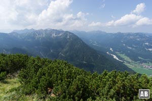 Blick vom Gipfel der Notkarspitze in die Ammergauer Alpen. Rechts das Graswangtal.