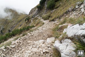 Vom Bschießer-Gipfel dessen sehr steile Ostflanke hinuntern und hinüber zum Verbindungsgrat