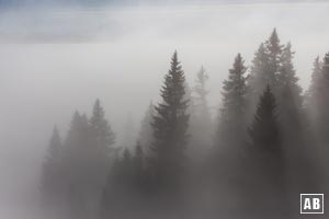 Der Wetterbericht meldete Hochnebel bis 1.100 m. Wenig unterhalb des Zwieselalm stoßen wir endlich durch die Nebeldecke.