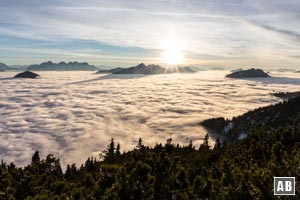 Aussicht vom Zwiesel: Die Sonne geht hinter den Chiemgauer Alpen unter