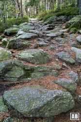 Bergpfad zum Gipfel des Großen Osser im Bayerischen Wald Bergpfad zum Gipfel des Großen Osser im Bayerischen Wald