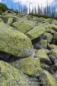 Unterwegs im Steinernen Meer (Dreisesselberg, Bayerischer Wald)