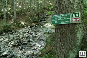 Im Aurachgraben wechseln wir auf die andere Seite eines Bergbaches