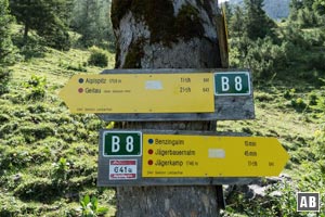 Im Benzingkessel biegen wir nach links ab und steigen gegen einen steilen Latschenhang an