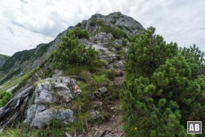 Einstieg in den Aiplspitz-Nordgrat