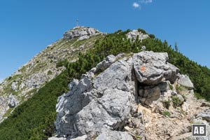 Rückblick auf den Gipfel der Aiplspitz