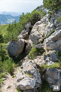 Kurzer, felsiger Aufstieg am Tanzeck