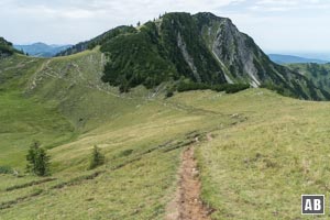 Oberhalb der Schnittlauchmoosalm rechtsdrehend um die Almmulde und hoch zu der Wegkreuzung (links)