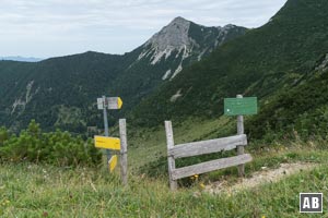 Oberhalb der Jägerbauernalm durch ein Gatter...