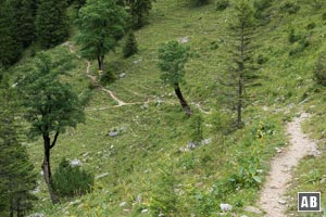 ...bis sich unsere Runde schließt. Nach links oben geht es wieder zum Aiplspitz-Nordgrat, nach links unten zurück nach Aurach.