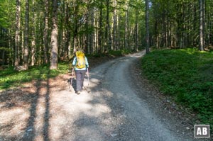 Einfache Wege führen aus der Jachenau hinauf auf den Langenecksattel und weiter zur Bichleralm