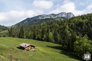 Die Orter Alm vor der Benediktenwand