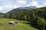 Die Benediktenwand - als markante Hintergrundkulisse der Orterer Alm