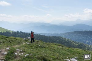 Kurz vor der Bichleralm weiter sich das Panorama am Horizont