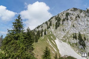 Blick oberhalb der Bichleralm auf den Gipfelaufbau. Der Aufstieg erfolgt über die linke Flanke.