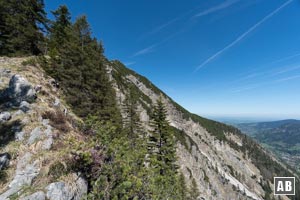 Die Ostgrat-Route gewährt immer wieder beeindruckende Sicht in die wilde Brecherspitz-Nordflanke.