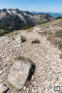 Abstieg über den sanften Westhang in Richtung Obere Firstalm.